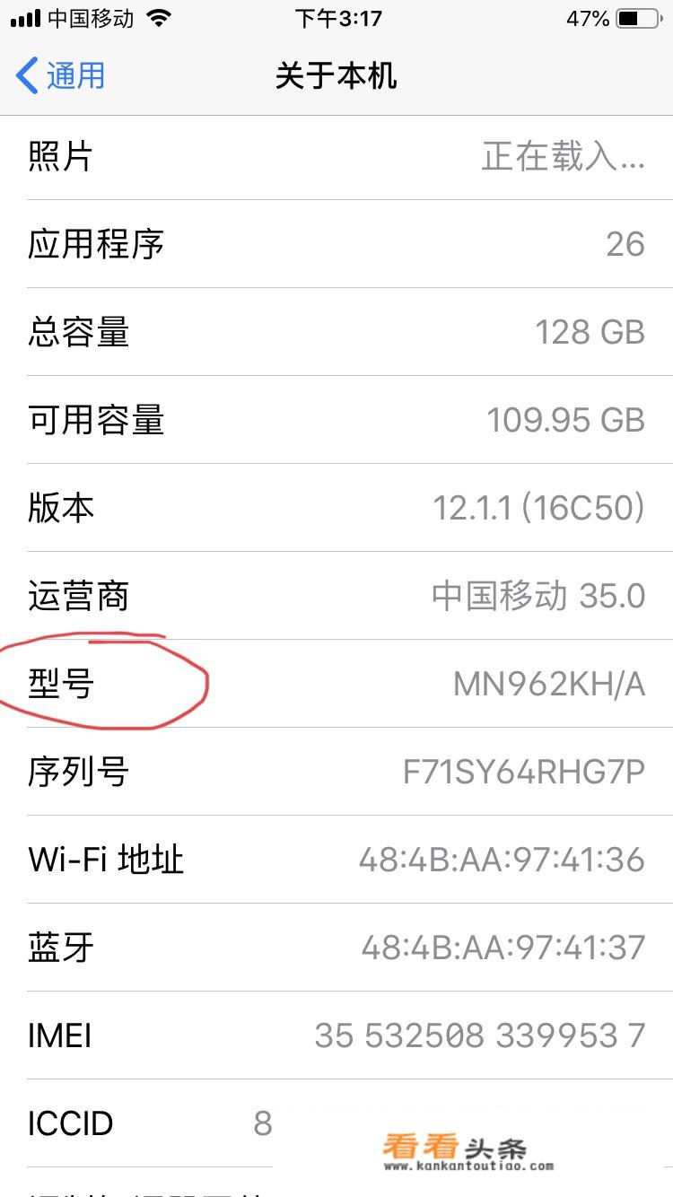 怎么查苹果手机的机型