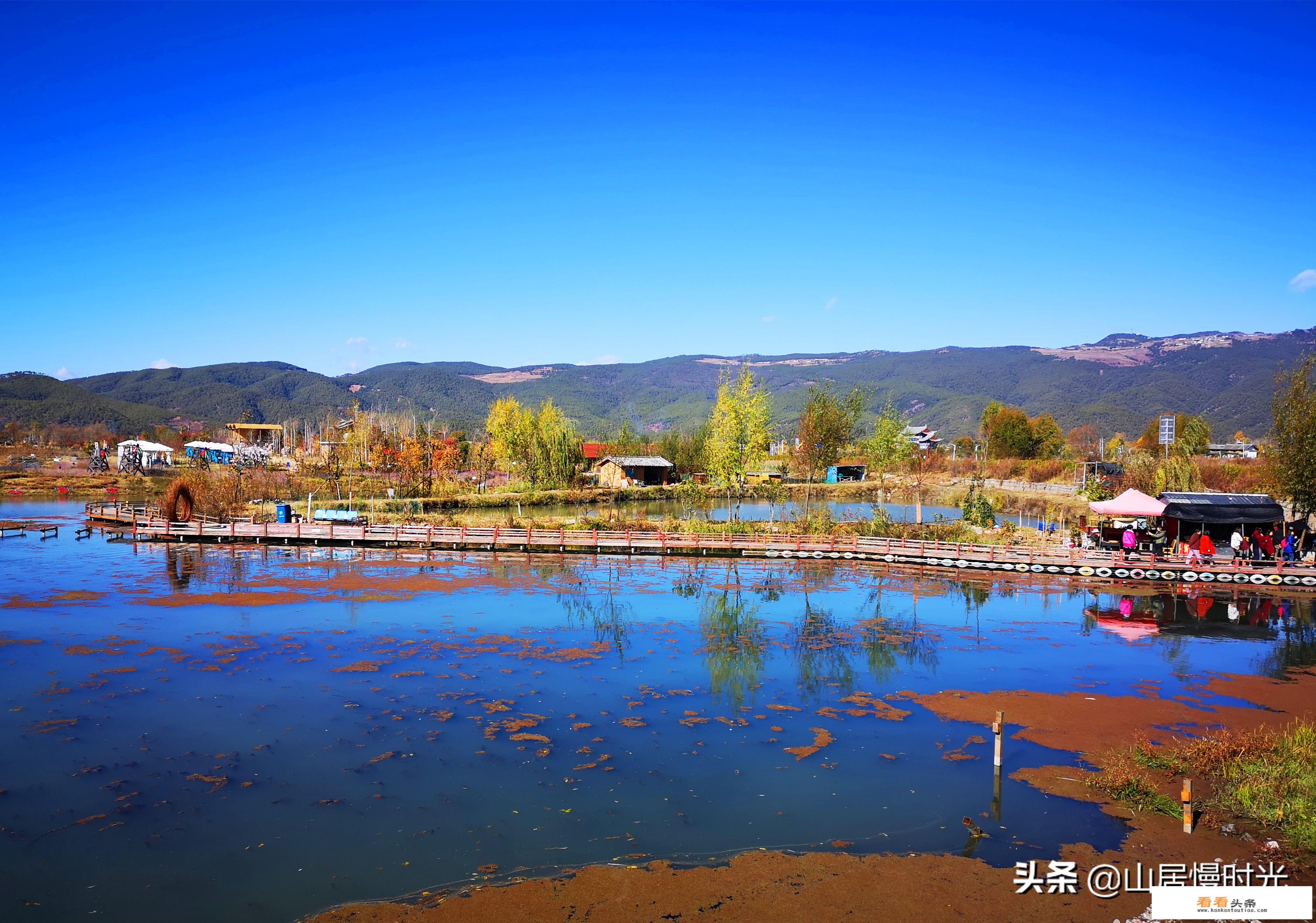 一些旅游公司一日游只收几十元，还发东西并且管饭，原因是什么？他们不赔钱吗