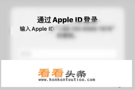 iPhone怎样给Apple ID添加付款方式