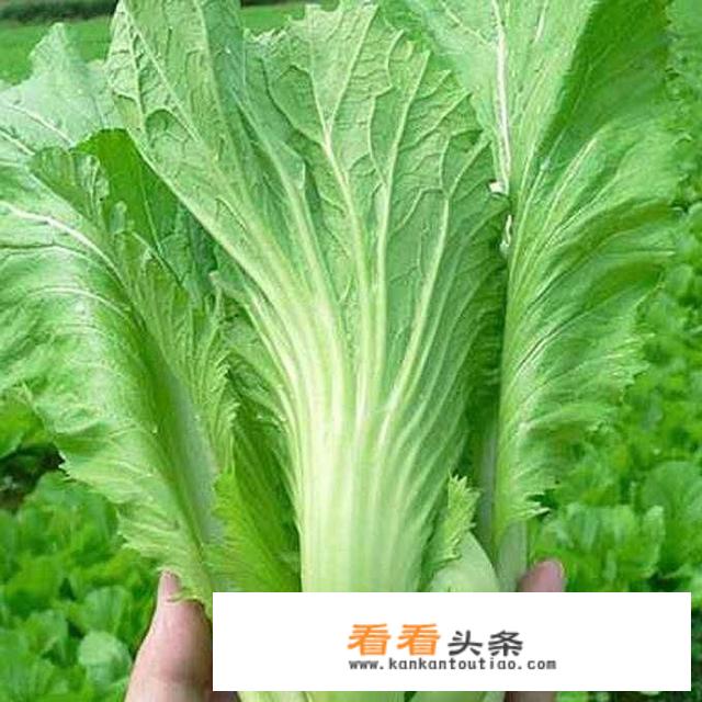 蔬菜汤怎么做