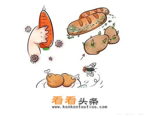 什么是食物中毒