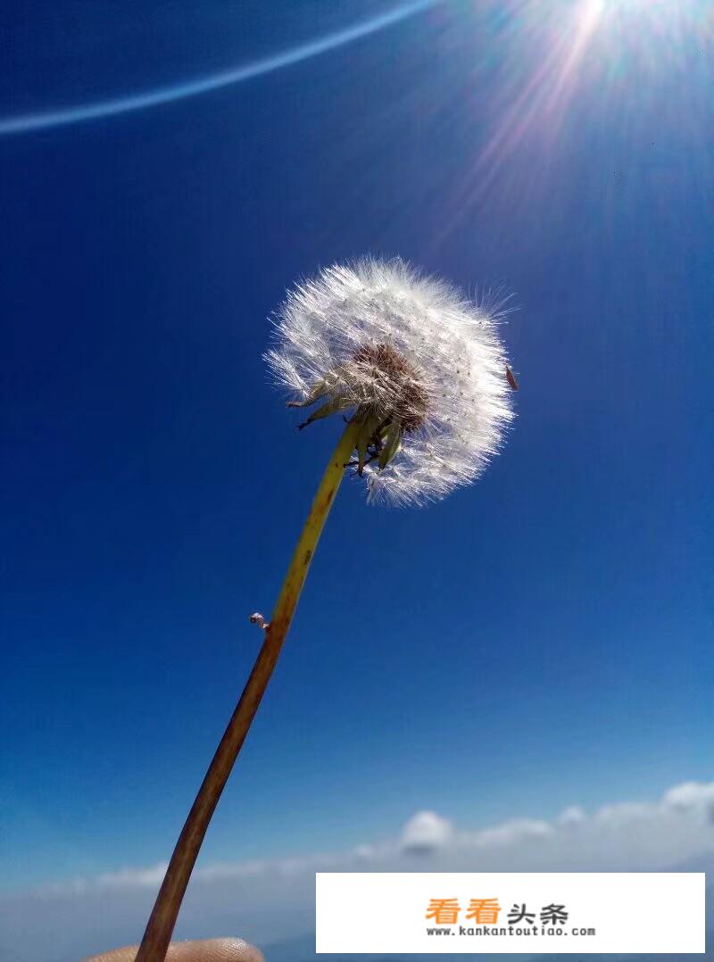 滇东北有哪些景色值得一去