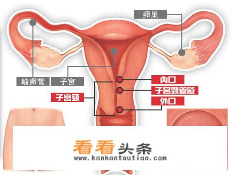 女生有哪些必须懂得的生理知识