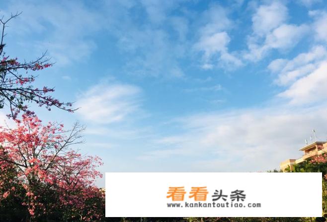 广东省的电子科技大学中山学院属于公立还是私立，怎样评价