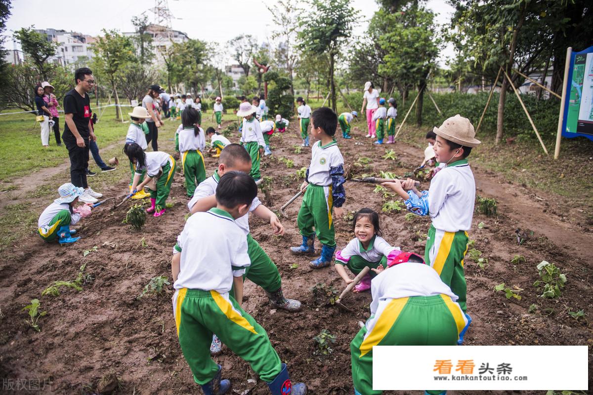 小学二年级怎么正确引导孩子