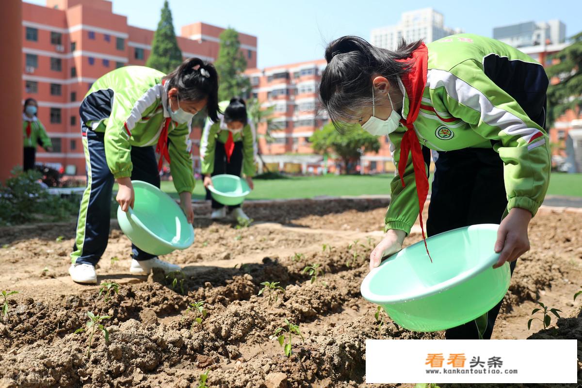 小学二年级怎么正确引导孩子