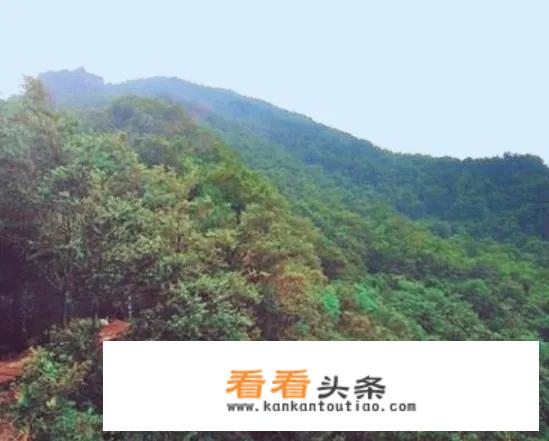 历史上的瓦岗山在哪里