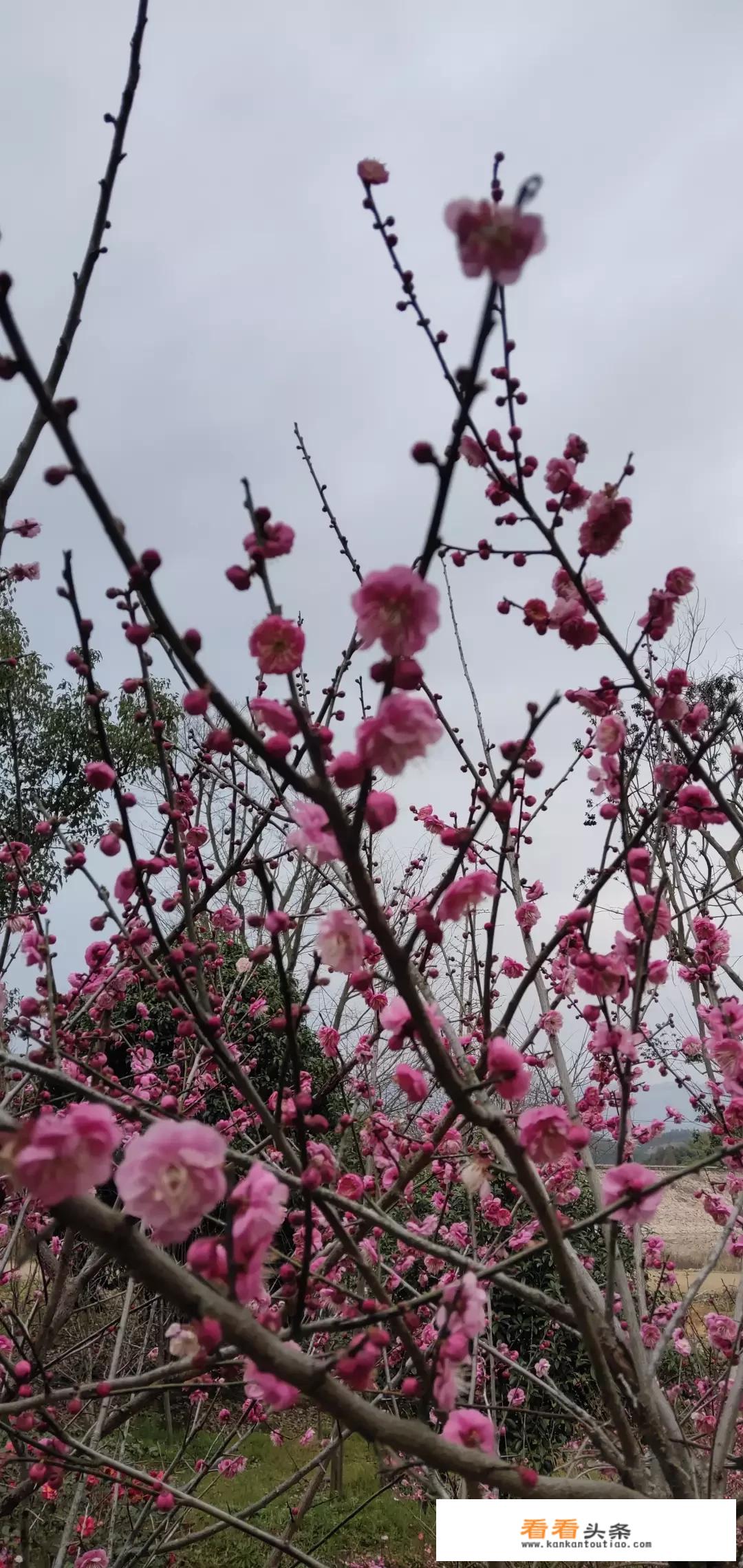 浙江溪口奉化周边的旅游景点都有哪些