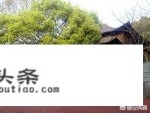 中华社会大学是怎么样的大学