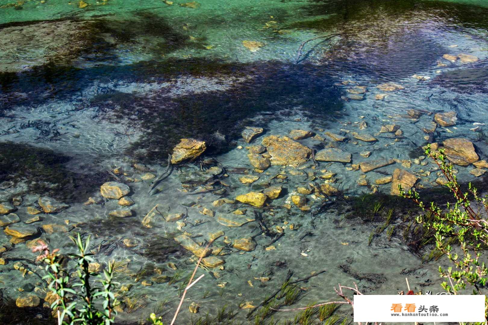 足下万里，移步换景，寰宇纷呈万花筒。这句话是什么意思？_万花筒旅游