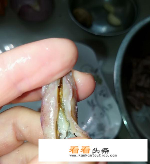 清洗海兔子的具体过程？_小海兔怎么清洗