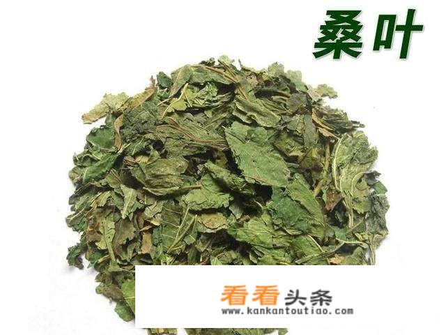 桑叶泡茶喝是晒干还是新鲜的好？_干黄花菜泡水的禁忌