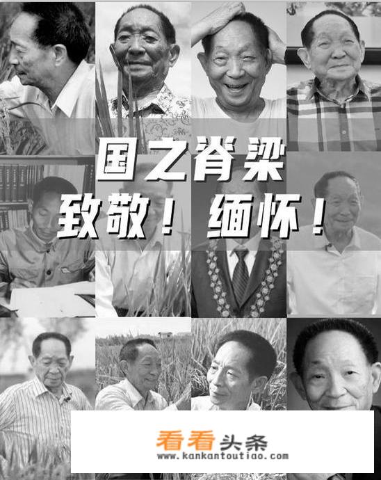 不懂就问，袁隆平袁老与A股“隆平高科”是什么关系？_福建农林大学国资处