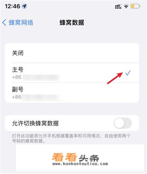 iphone怎么设置双卡？_iphone双卡设置