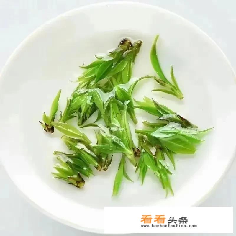 小叶苦丁茶的功效与作用有哪些？_苦丁茶对男人性功能作用