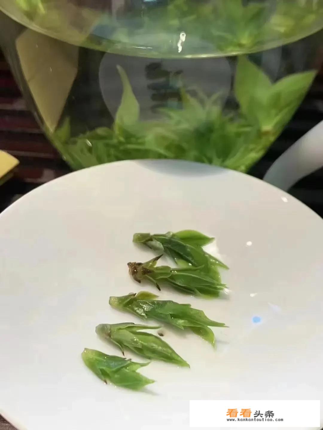 小叶苦丁茶的功效与作用有哪些？_苦丁茶对男人性功能作用