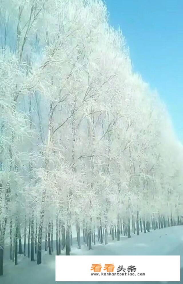 你们那里下雪了吗？_秀山汽车棚价格