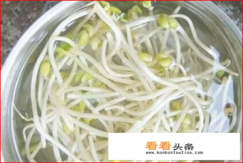 豆芽汤怎么做？_豆芽汤怎么做