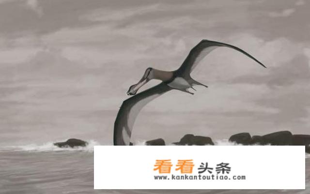 全球十大神秘生物都是什么？它们真的存在吗？_黑红汽车膜价格