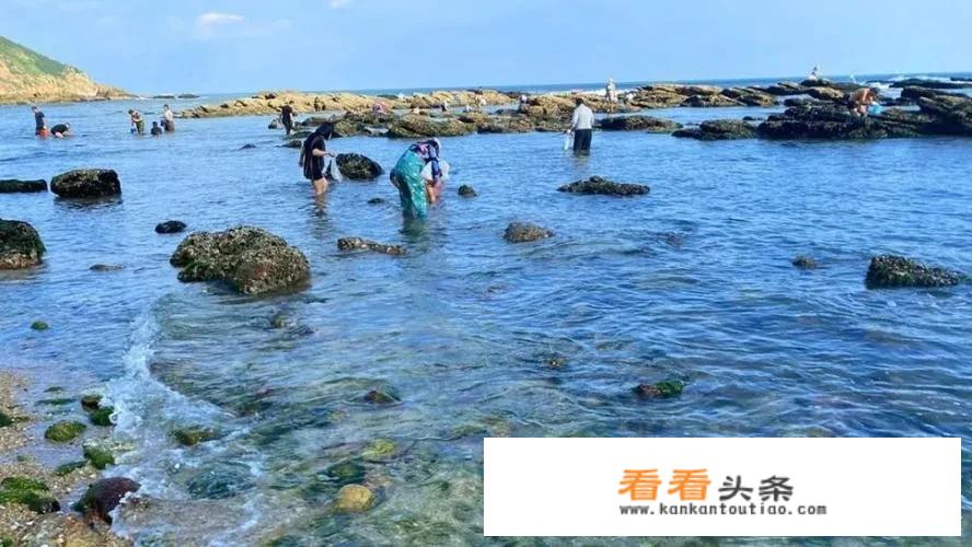 大连哪些地方能赶海？_黄海汽车小蚂蚁价格