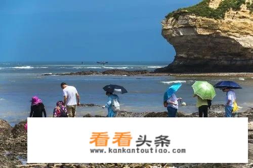 大连哪些地方能赶海？_黄海汽车小蚂蚁价格