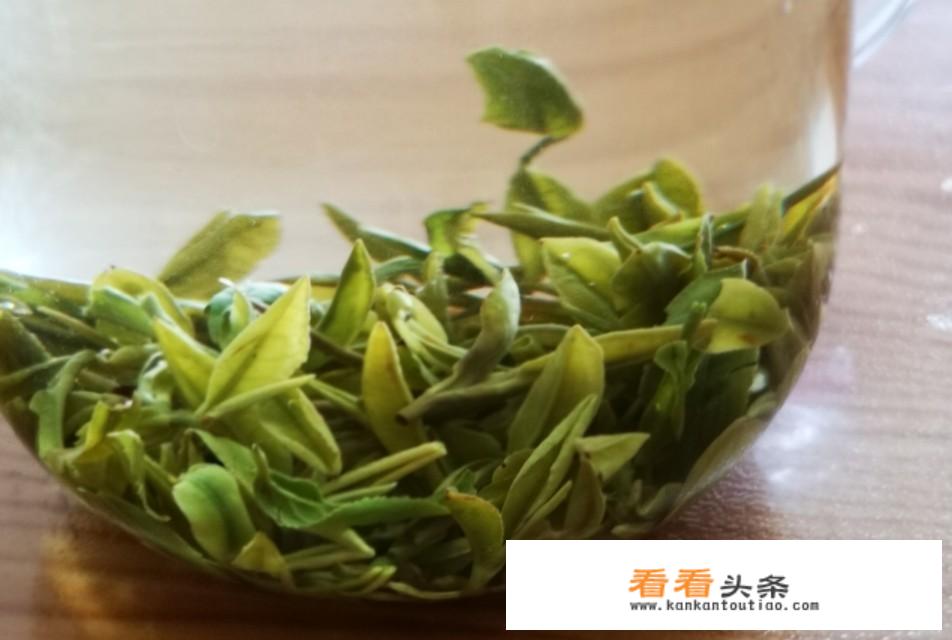 有哪些鲜为人知，但是很好喝的绿茶？_绿茶十大品种