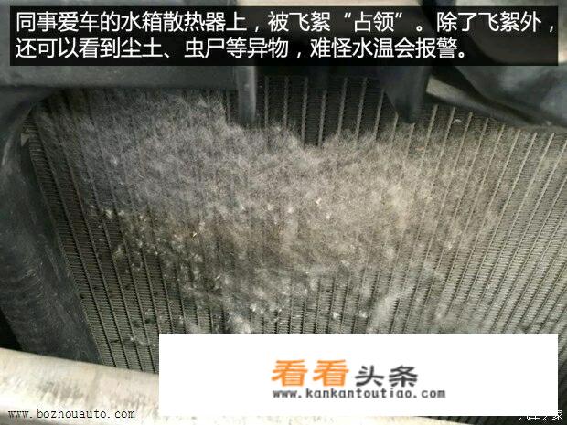 如何自己清洗汽车的水箱？_清洗汽车燃烧系统价格