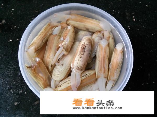 蛏子应该如何烹饪？有哪些需要注意的问题？_海鲜蛏子的做法视频