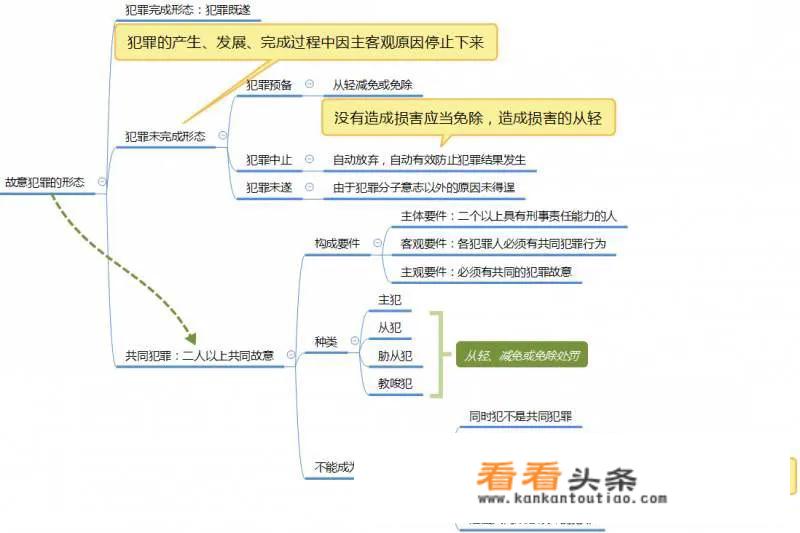 柚子有多少品种？_茂名汽车清洁海绵价格