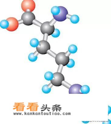 西瓜子的健康益处有什么