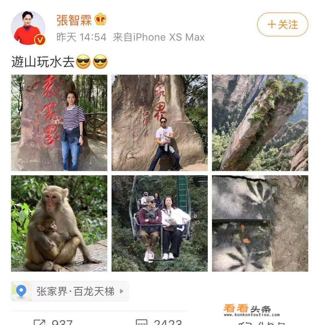 张智霖袁咏仪张家界观光，老夫老妻甜蜜牵手，任由旅客拍照，你羡慕这样的爱情吗