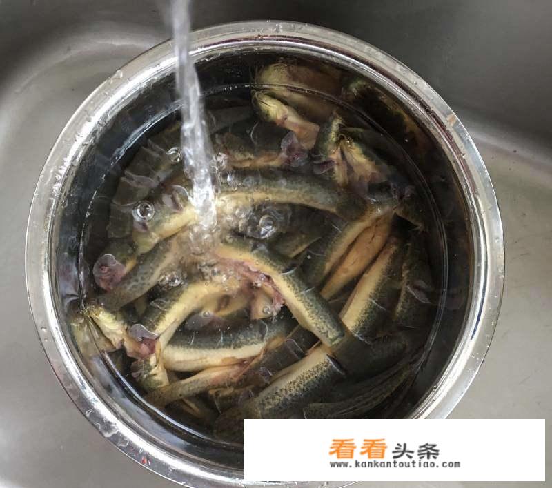 王刚红烧泥鳅正宗做法