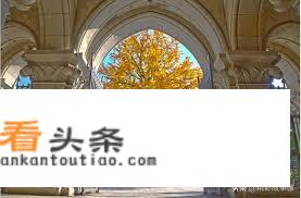 “日本最高学府”的东京大学，是一所怎样的学校