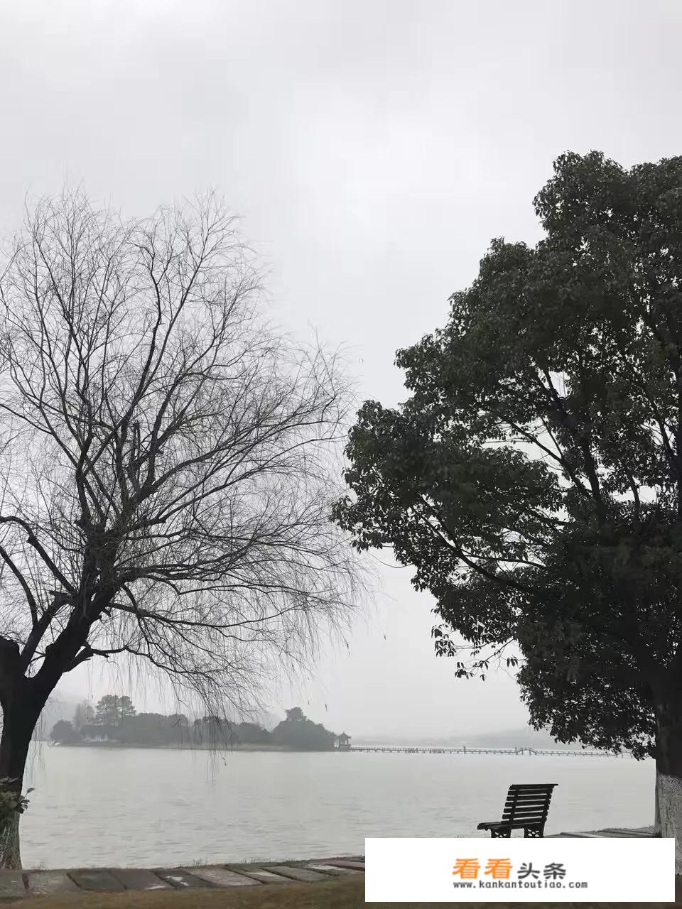 我是上海人，到上海周边省市一日游，哪里好