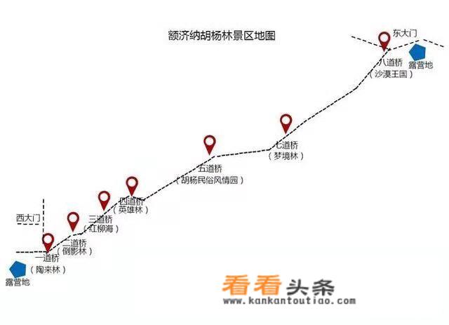 额济纳胡杨林景色什么时候最美？什么时侯去旅游最好