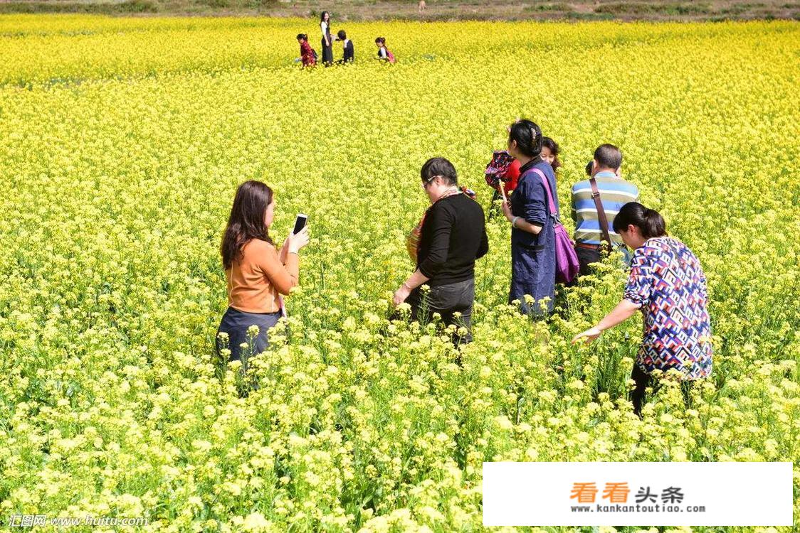 商丘人春游去哪里比较好