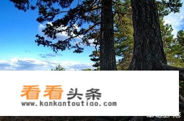 呼伦贝尔市海拉尔区有什么旅游景点推荐