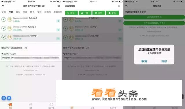 ipad有没有类似于迅雷的下载工具？有什么好的推荐