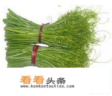 龙须菜是什么菜？