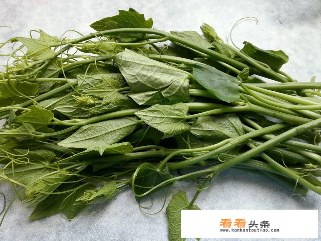 龙须菜是什么菜？