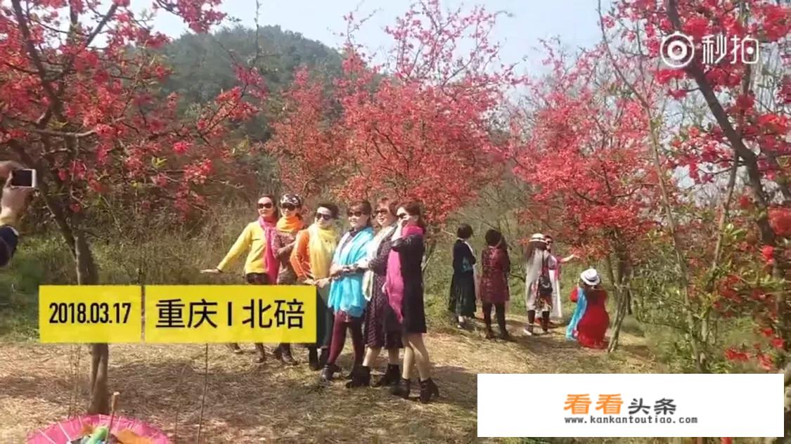 阿姨们照相带7条丝巾挪10次地方，丝巾墨镜成妈妈拍照必备，你的妈妈爱拍丝巾照吗？