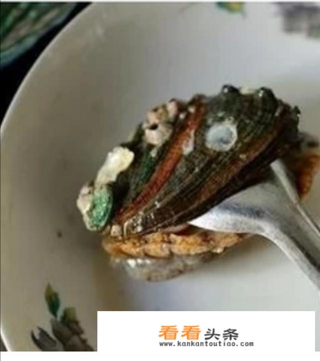 鲍鱼怎么洗干净，鲍鱼的正确清洗方法？