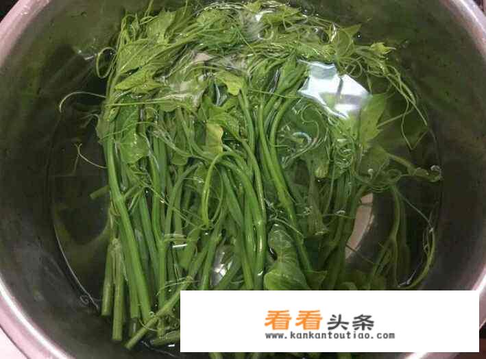 制做野生茴茴菜方法做法？