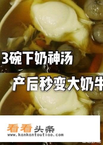 健脾补气补血的食物？