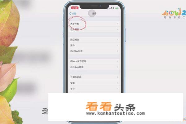 苹果怎么查是不是翻新机？