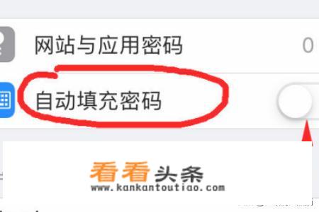 iPhone怎么开启自动填充密码（验证码）功能？