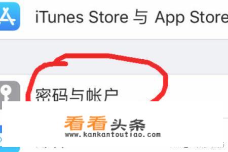 iPhone怎么开启自动填充密码（验证码）功能？