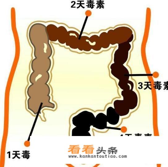 肠道要健康，主要是“清”，具体是什么说法？