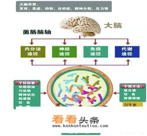 微生物对人类有哪些影响？