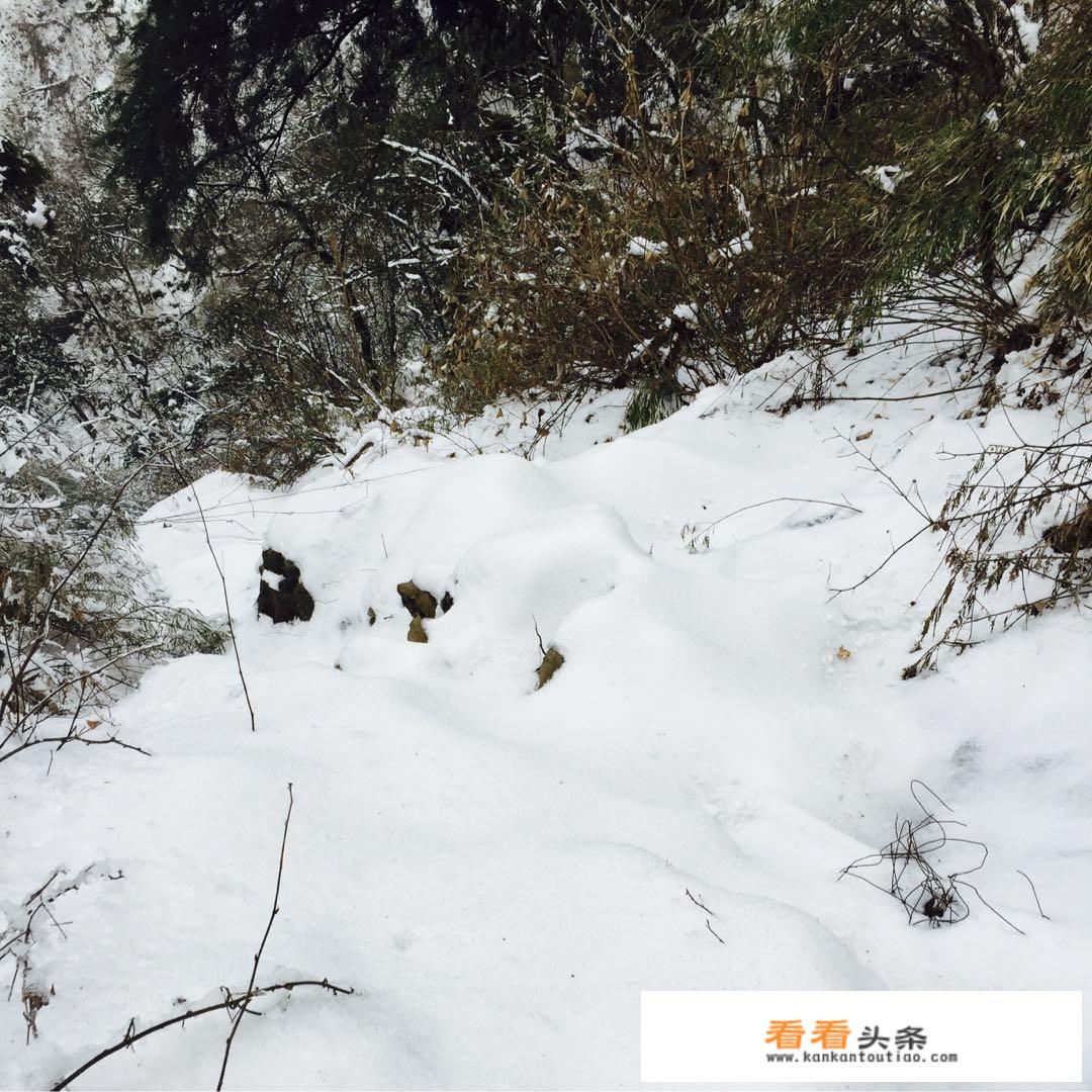 请问一下大家，现在～这个时候，成都周边大概哪些地方在下雪！要求就是不要门票那种？